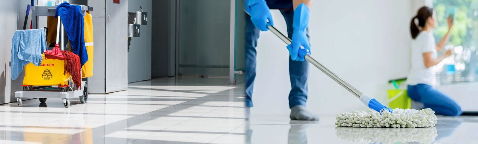 Professional Cleaning Services in India